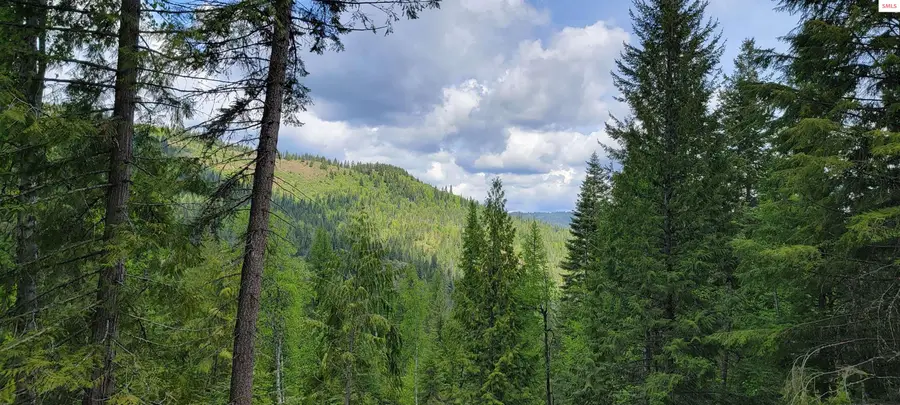 NNA Pup Paw Trail South Parcel, Priest River, ID 83856 - Image #3