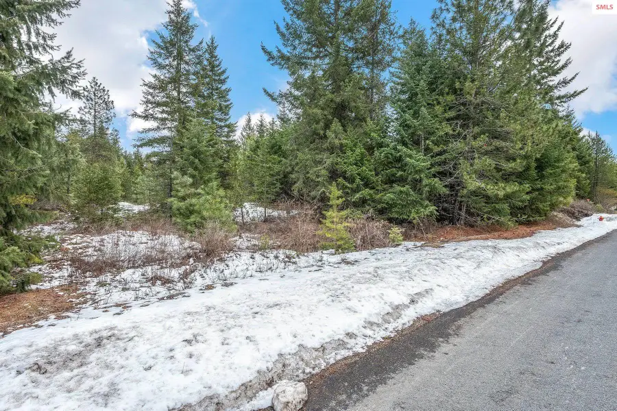 32972 N 10th Ave, Spirit Lake, ID 83869 - #2