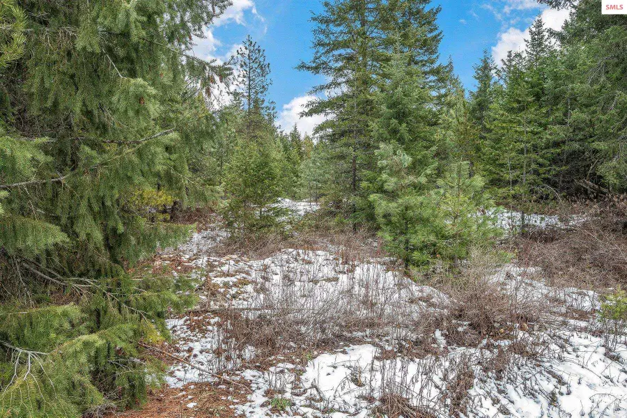 32972 N 10th Ave, Spirit Lake, ID 83869 - #3