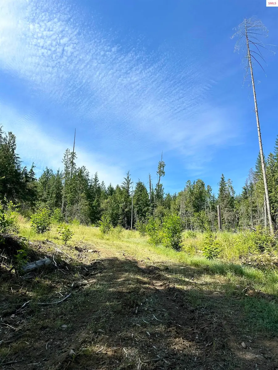 NKA Wellington Rd, Sandpoint, ID 83864 - Image #3