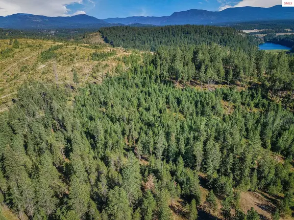 L1 Smokewood Dr, Athol, ID 83801