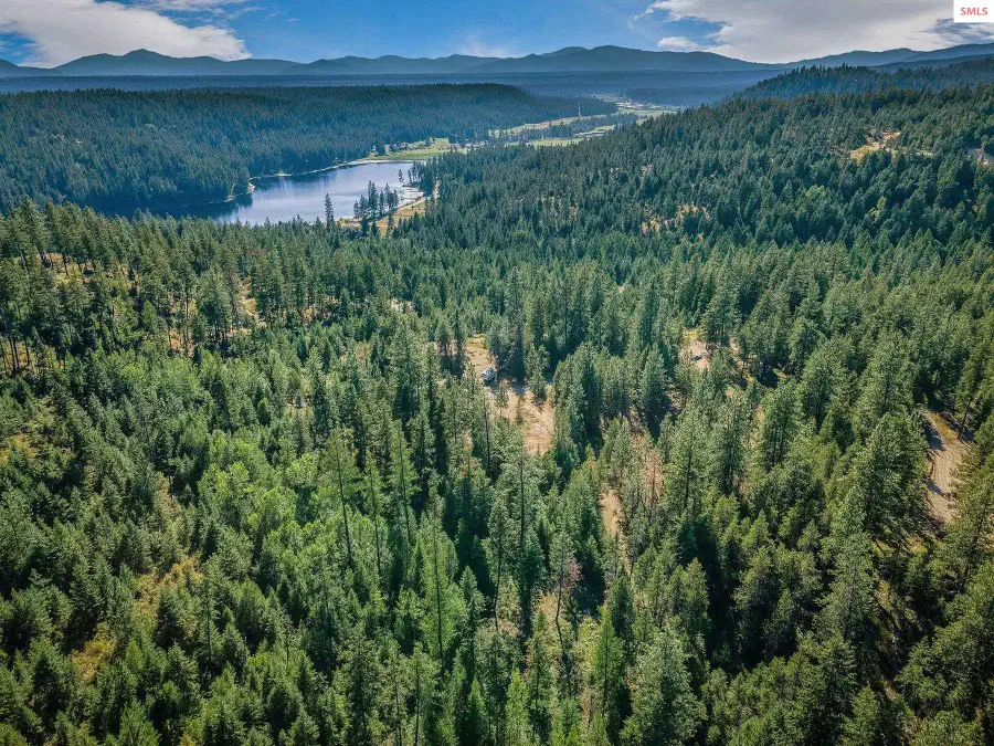 L1 Smokewood Dr, Athol, ID 83801 - Image #2