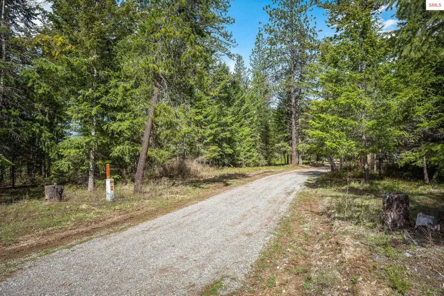 L1 Smokewood Dr, Athol, ID 83801 - Image #3
