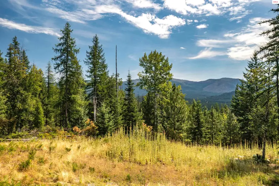 998 Lightning Peak Rd., Sandpoint, ID 83864 - Image #2