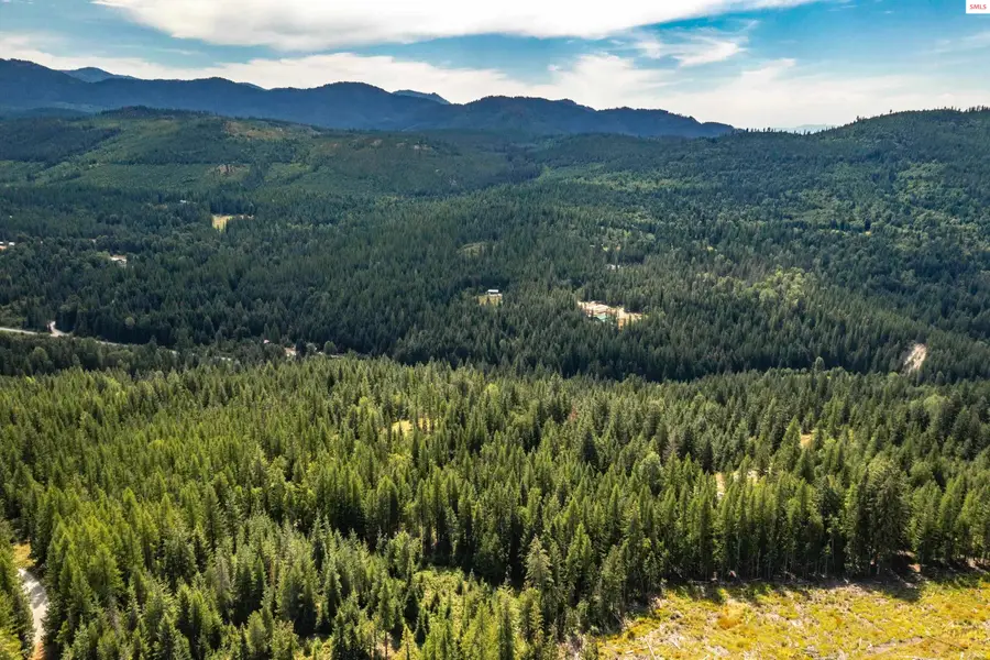 998 Lightning Peak Rd., Sandpoint, ID 83864 - Image #3