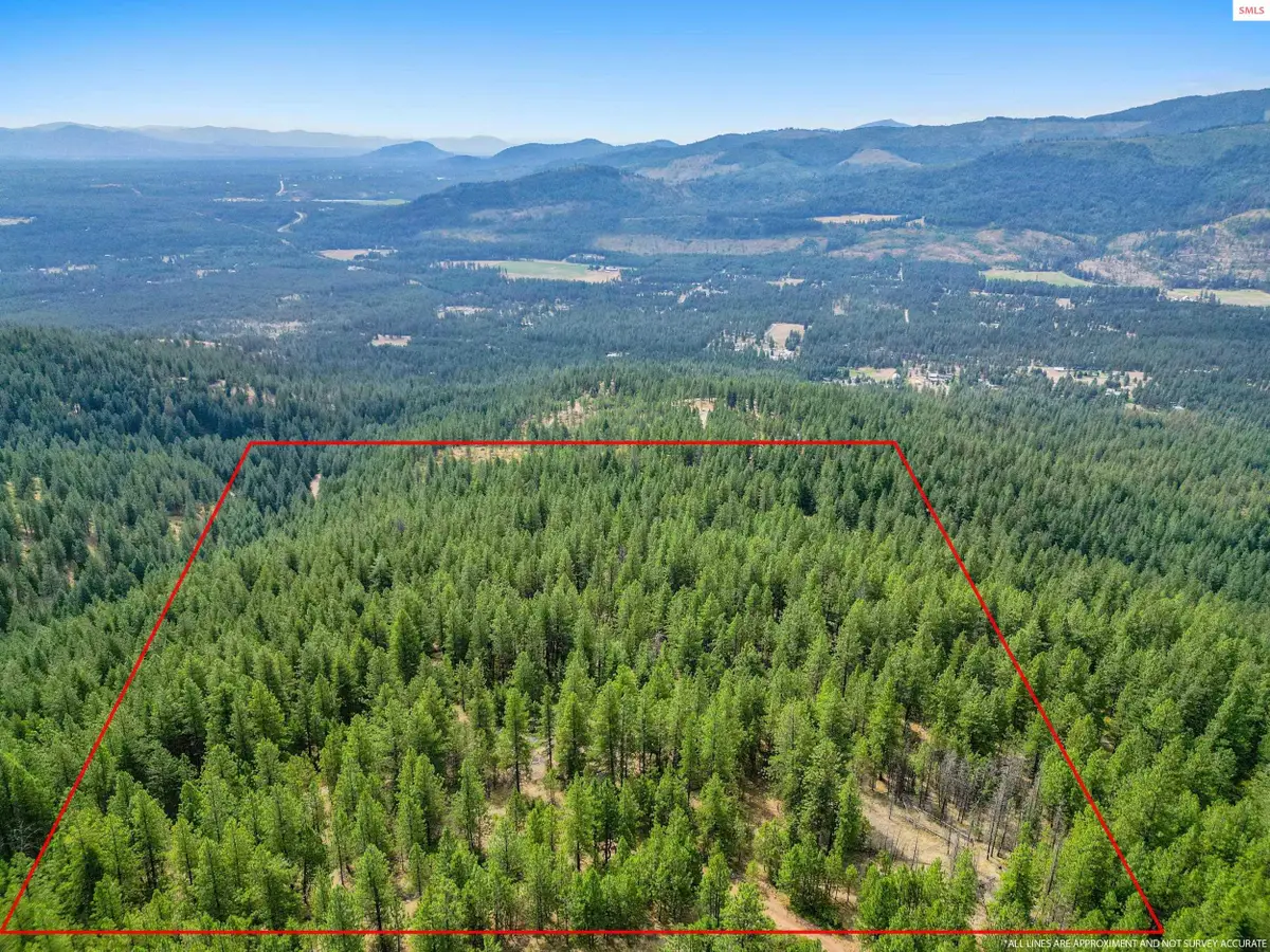 NNA Usfs 2550 (40 Acres), Blanchard, ID 83804 - Image #1