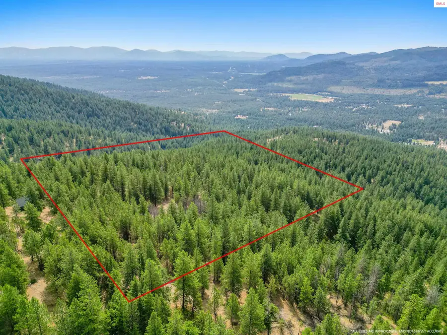 NNA Usfs 2550 (40 Acres), Blanchard, ID 83804 - Image #2