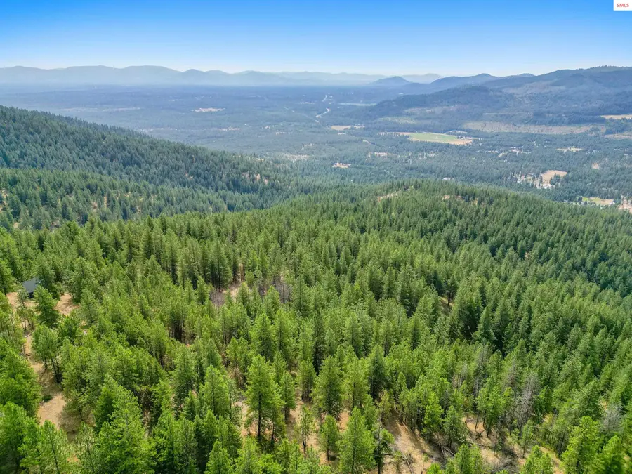 NNA Usfs 2550 (40 Acres), Blanchard, ID 83804 - Image #3