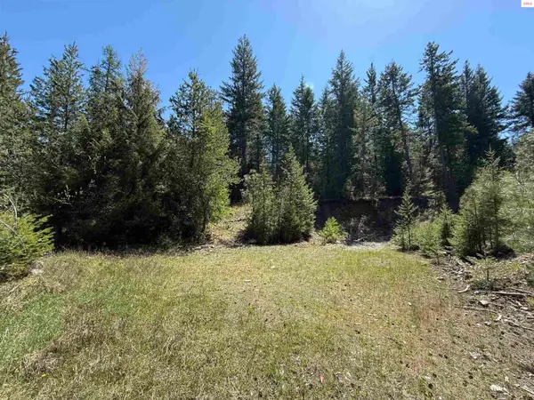 8995 E Quarter Mile Rd, Athol, ID 83801