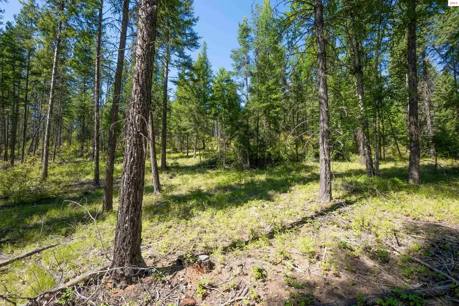 NNA Herman Lake Rd, Moyie Springs, ID 83845 - Image #2