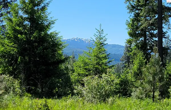 NNA Falcon Ridge Drive-#1, Naples, ID 83847