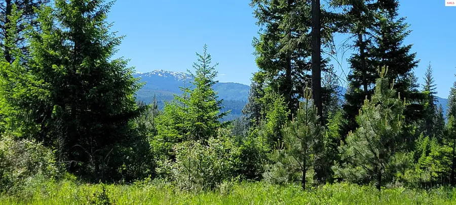 NNA Falcon Ridge Drive-#1, Naples, ID 83847 - Image #2