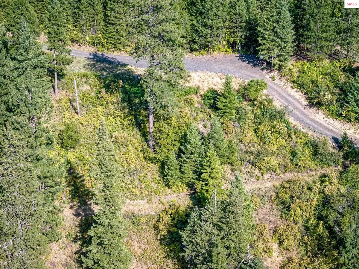 19XXX S Headlands Dr., Harrison, ID 83833 - Image #1