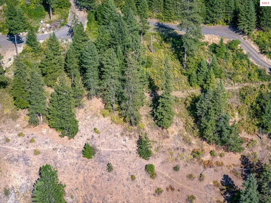 19XXX S Headlands Dr., Harrison, ID 83833 - Image #2