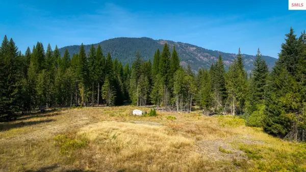 NNA Bull Lake Rd, Troy, MT 59935