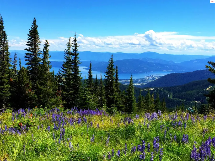 2 Crystal Springs Road, Sandpoint, ID 83864 - Image #3