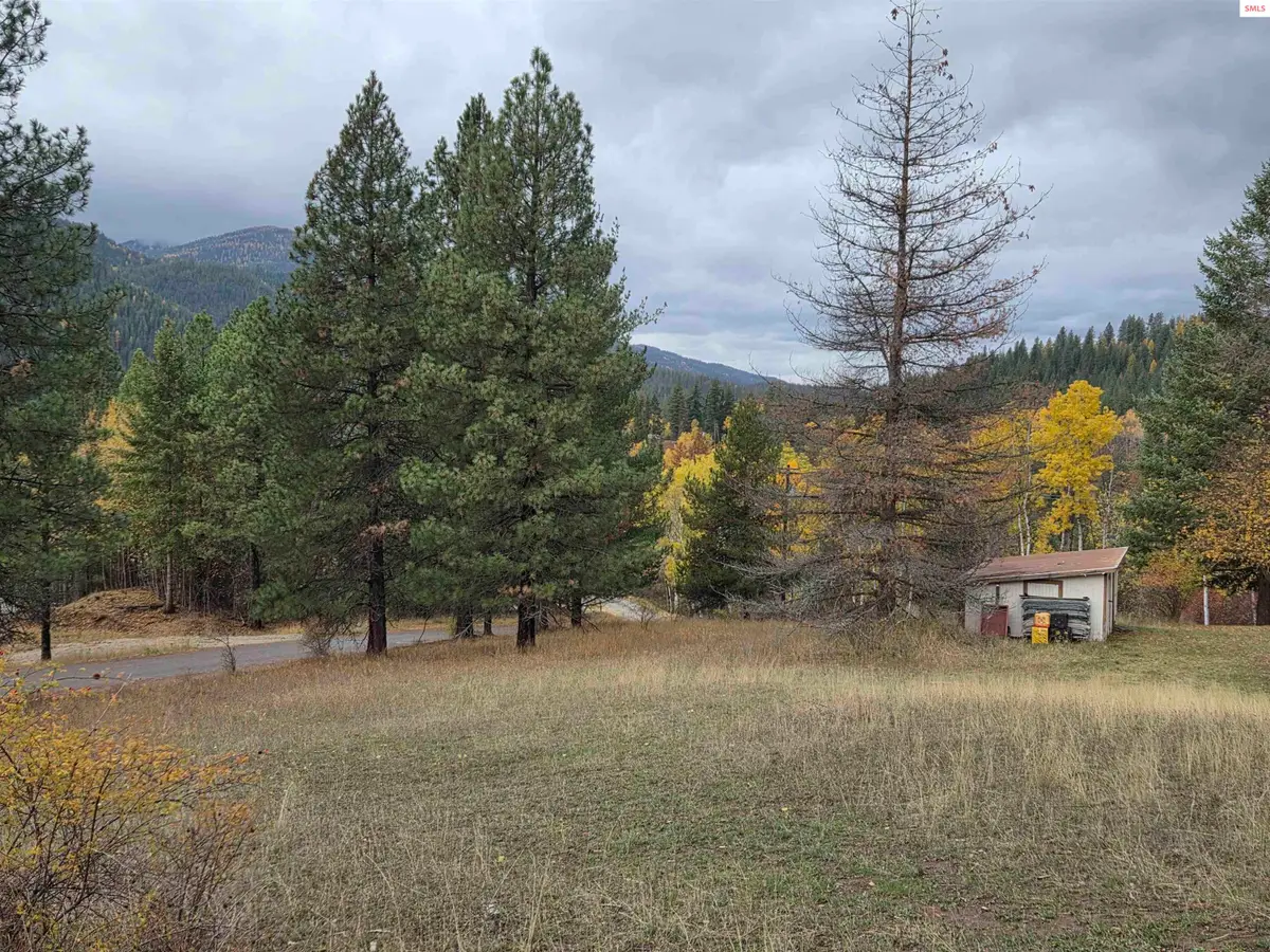 Lot 2B Upper Drive, Osburn, ID 83849 - Image #1