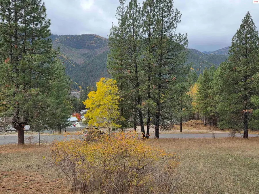 Lot 2B Upper Drive, Osburn, ID 83849 - Image #2