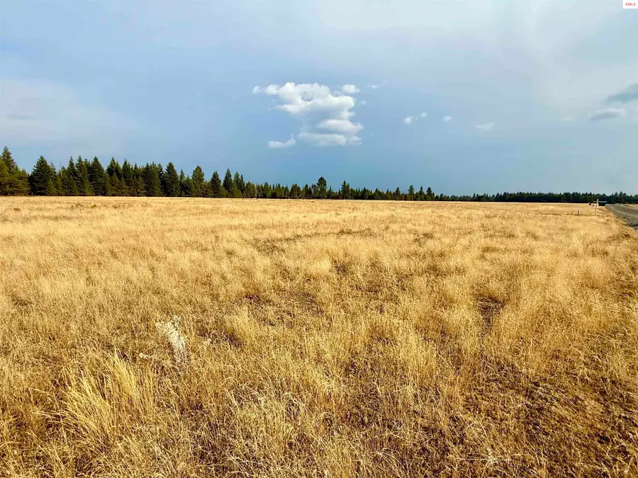 NNA Stonemason Way, Rathdrum, ID 83858 - Image #3