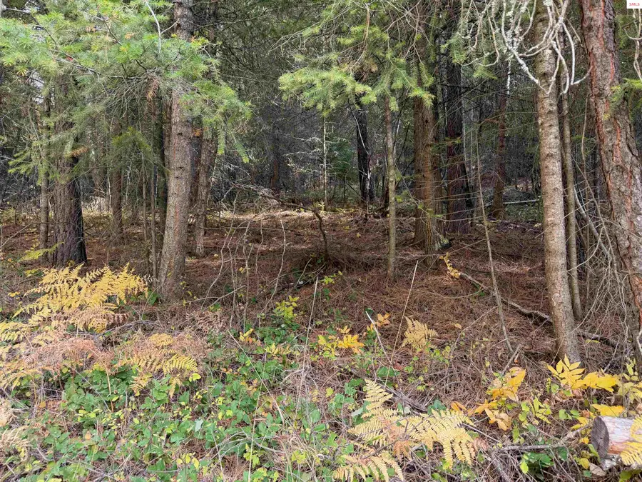 Nka Parker Canyon, Bonners Ferry, ID 83806 - #2