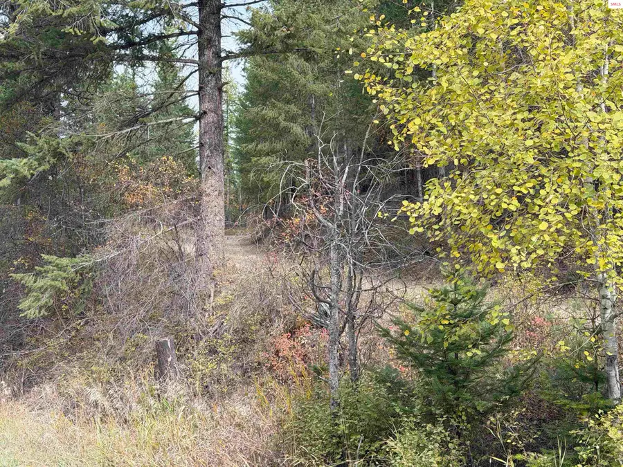 Nka Parker Canyon, Bonners Ferry, ID 83806 - #3