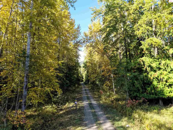 20Acres Beaver Creek Rd, Sandpoint, ID 83864