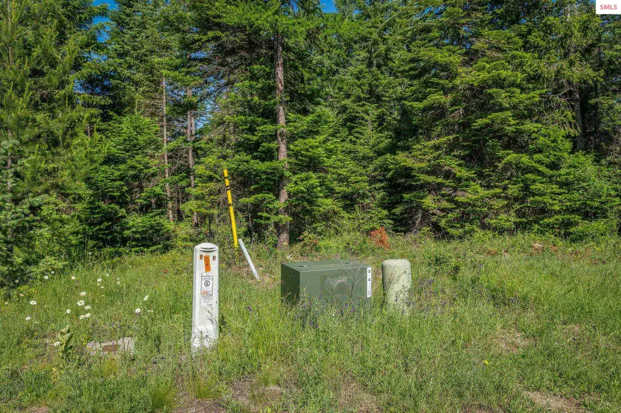 Lot 10 E Riley Loop, Athol, ID 83801 - Image #2