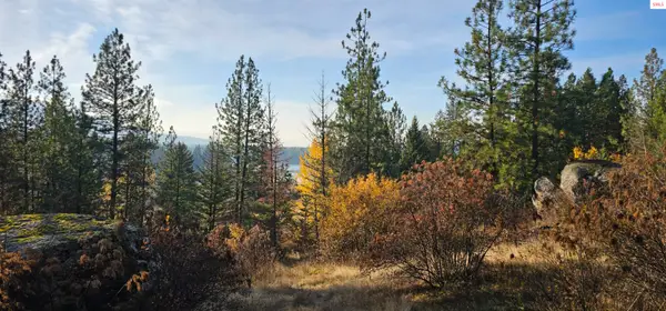 125 Tracker Way, Priest River, ID 83856