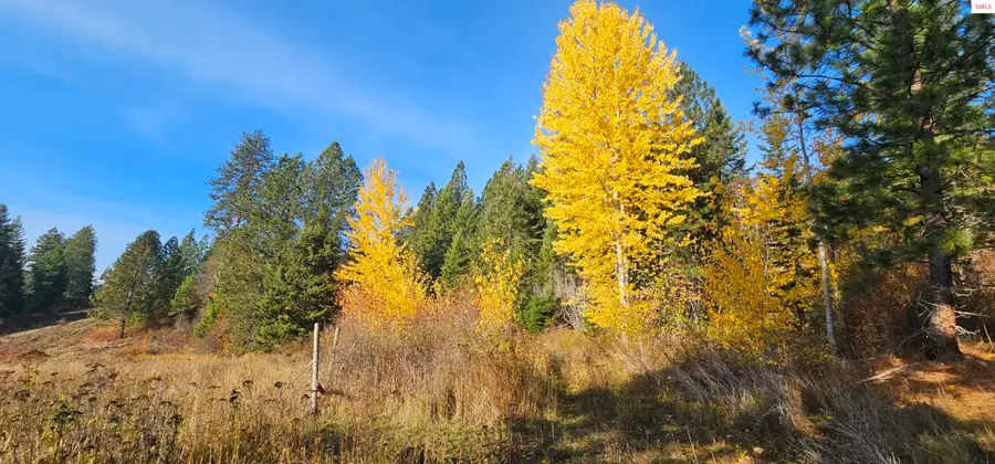 125 Tracker Way, Priest River, ID 83856 - Image #3