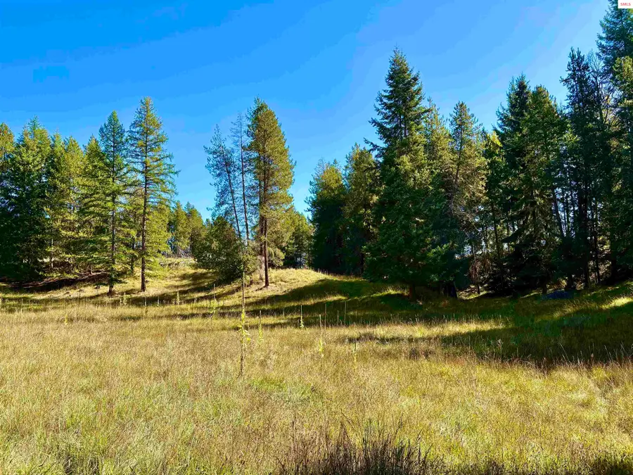 Lot 3 Royal Way, Bonners Ferry, ID 83805 - Image #3