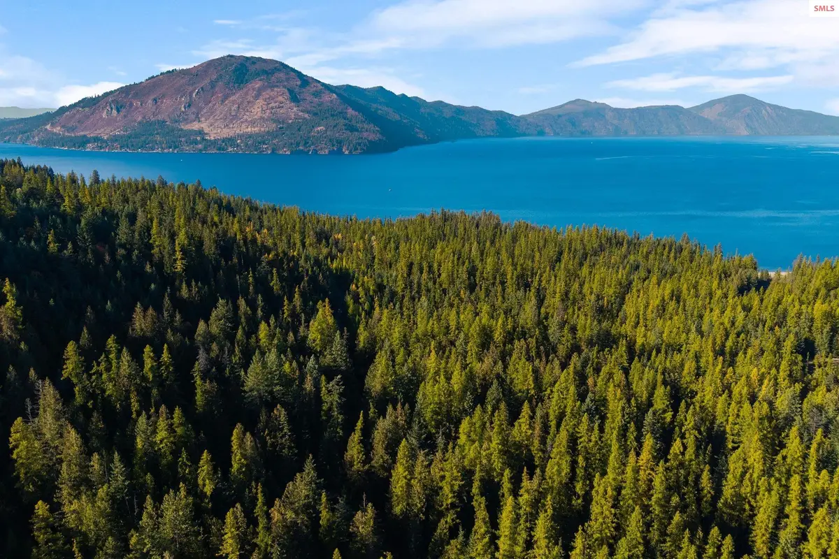 NNA Big Buck Rd, Bayview, ID 83803 - Image #1