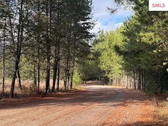 171 (temp) Bear Rd., Priest River, ID 83856 - Image #1