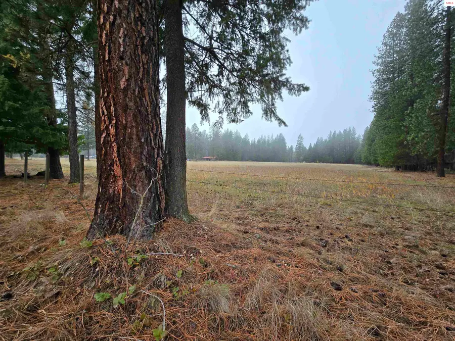 TBD Quartz Rd, Libby, MT 59923 - Image #3