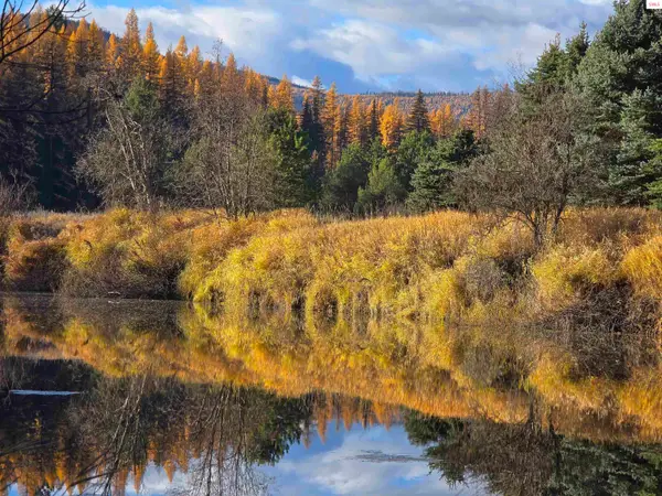 1310 Tamarack Lane, Yaak, MT 59935