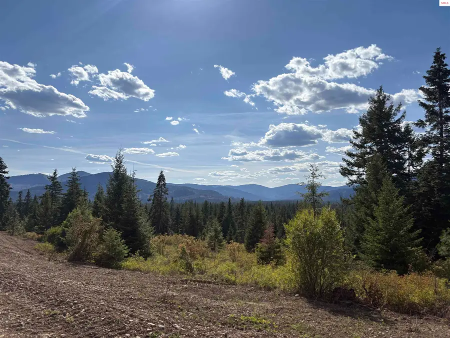 L5 Gemini Lane, Rathdrum, ID 83858 - Image #3