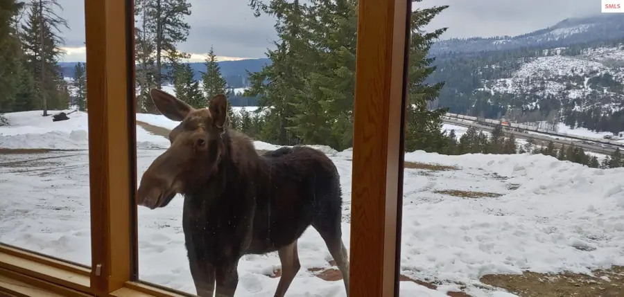 325 Wambi Wahohpi, Careywood, ID 83809 - Image #2