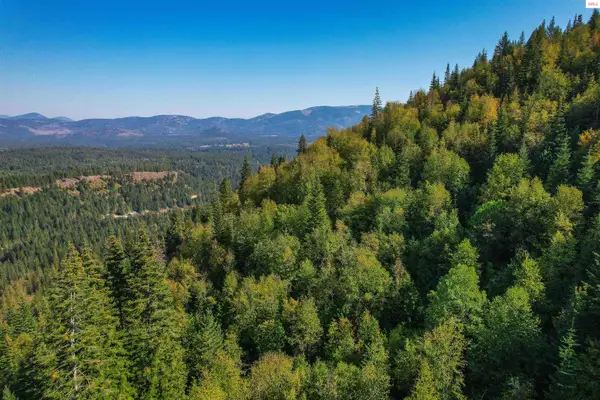 NKA Bodie Canyon Rd., Priest River, ID 83856