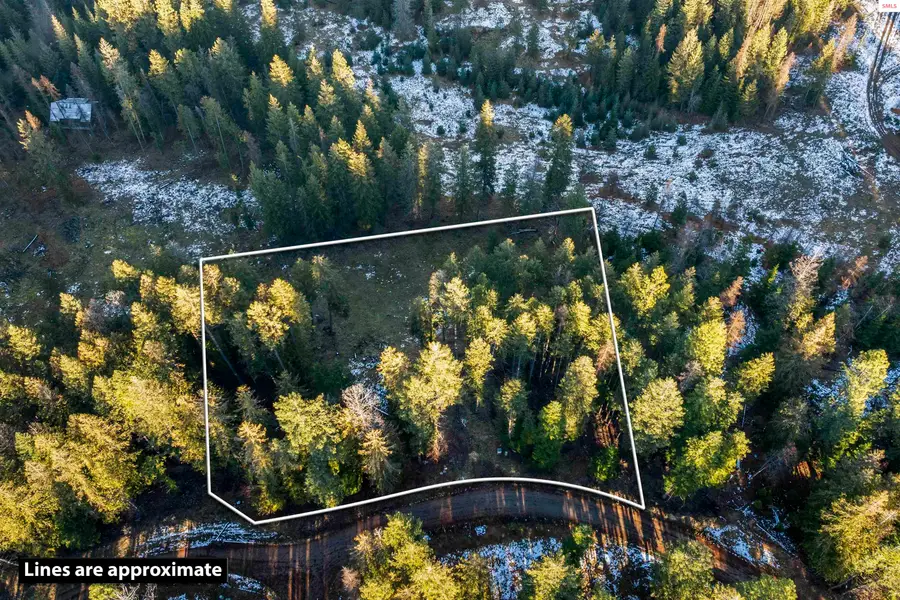 B1, L3 Sasha Point, Hope, ID 83836 - #2