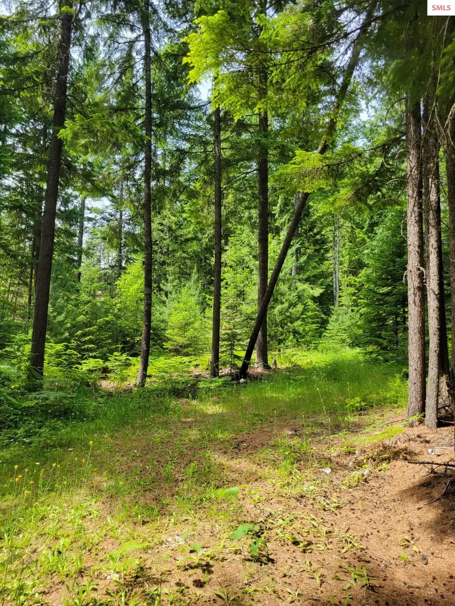 NNA 17 Christmas Lane, Naples, ID 83847 - #2