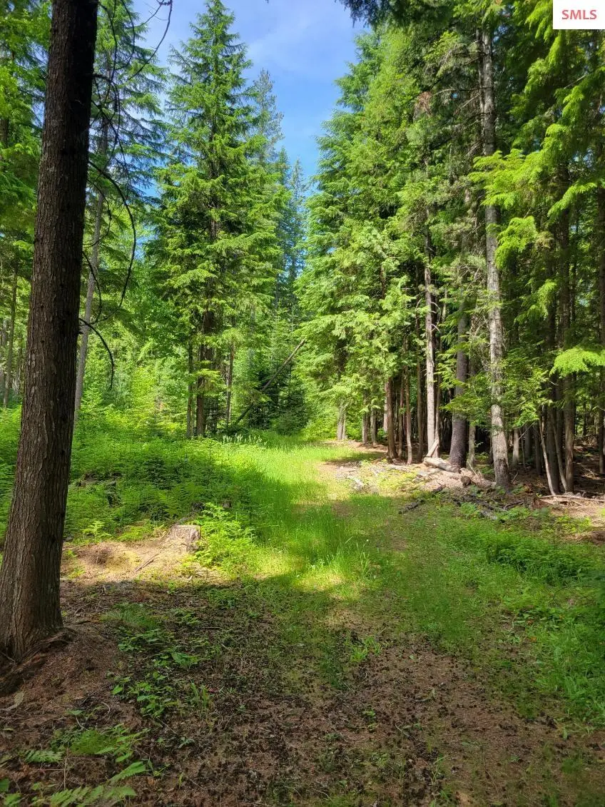 NNA 17 Christmas Lane, Naples, ID 83847 - #3