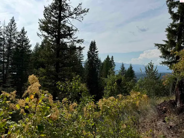 Lot E7 Green Monarch Lane, Sandpoint, ID 83864