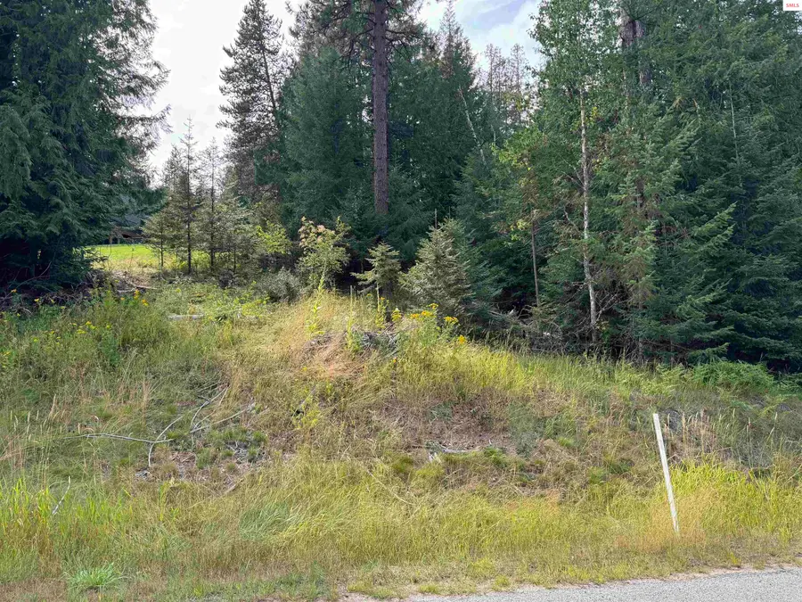 Lot E7 Green Monarch Lane, Sandpoint, ID 83864 - #3