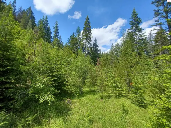 127 Coyote Trail, Priest Lake, ID 83856