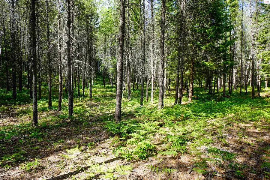 1599 Saddleback Dr, Naples, ID 83847 - #2