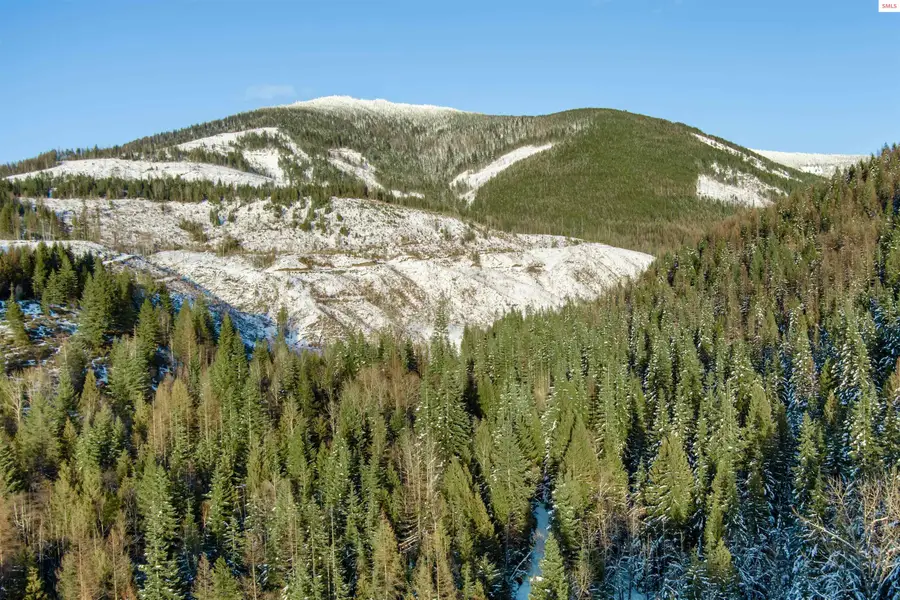 NKA Cross Mountain Rd, Sandpoint, ID 83864 - #3