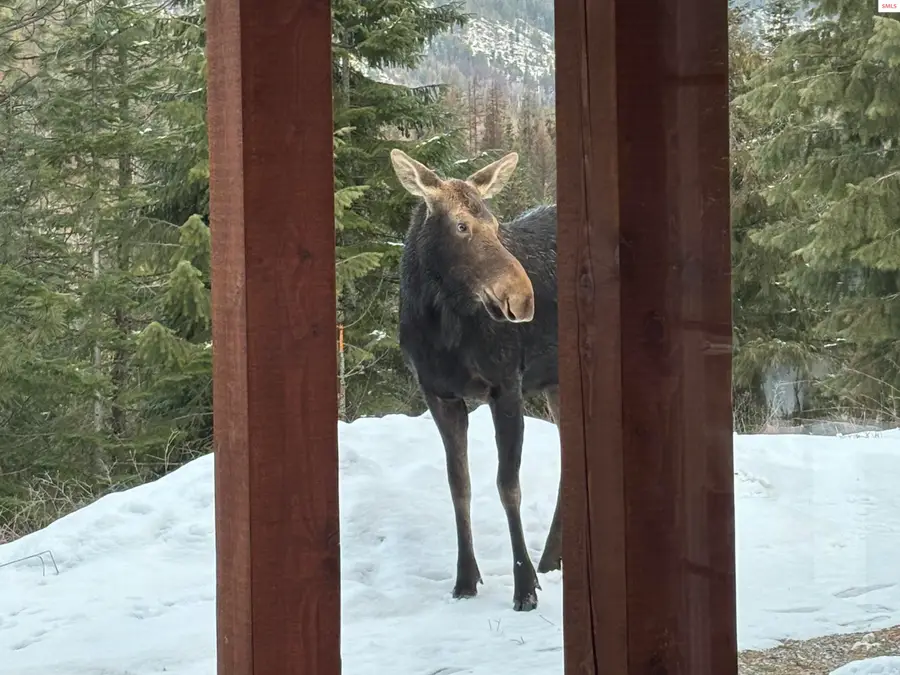 778 B Street, Sandpoint, ID 83864 - #3