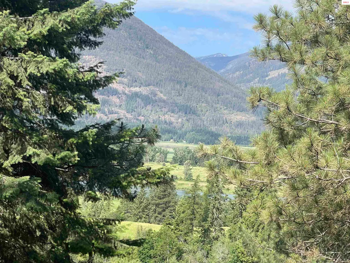 2447 Turner Hill Rd, Bonners Ferry, ID 83805 - #1