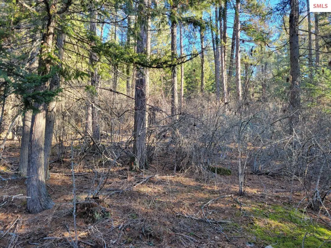 NNA Hwy 200, Hope, ID 83836 - #1