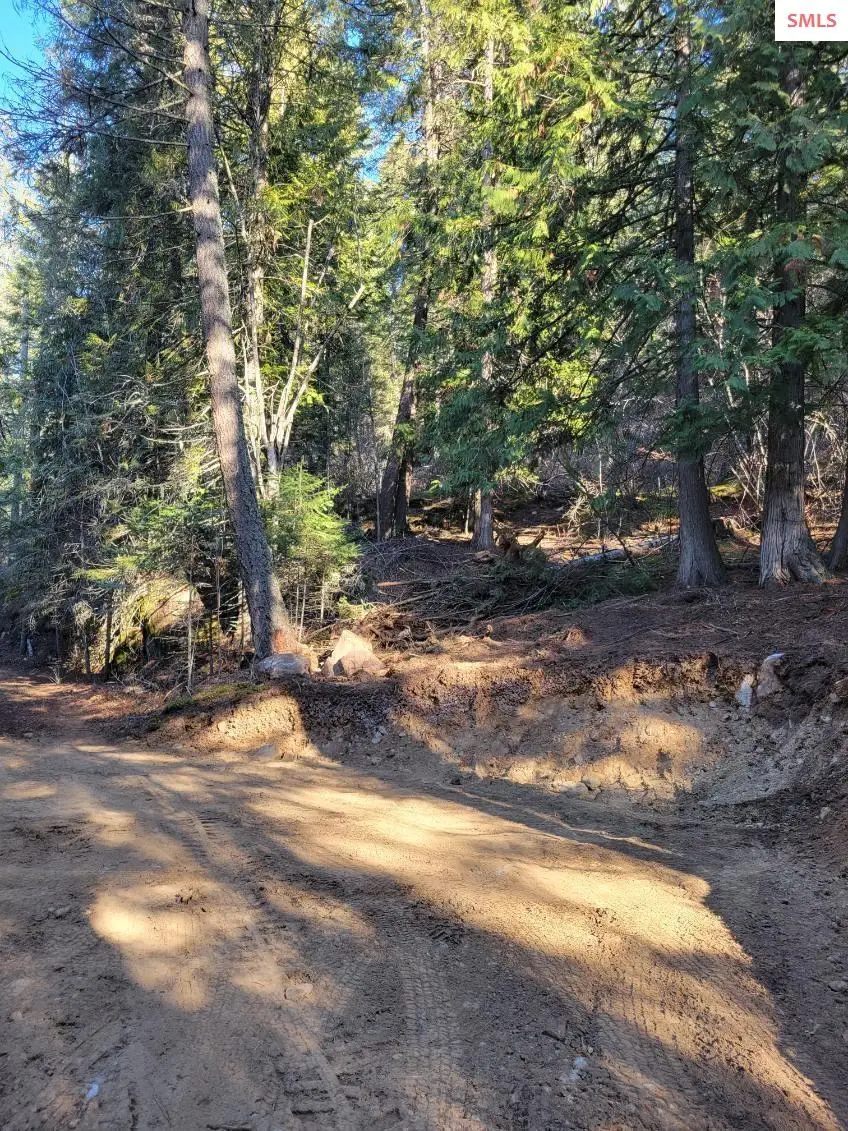 NNA Hwy 200, Hope, ID 83836 - #3