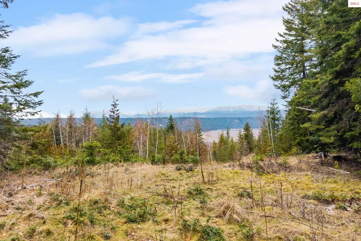 193 Cottage Ln, Bonners Ferry, ID 83805 - #1